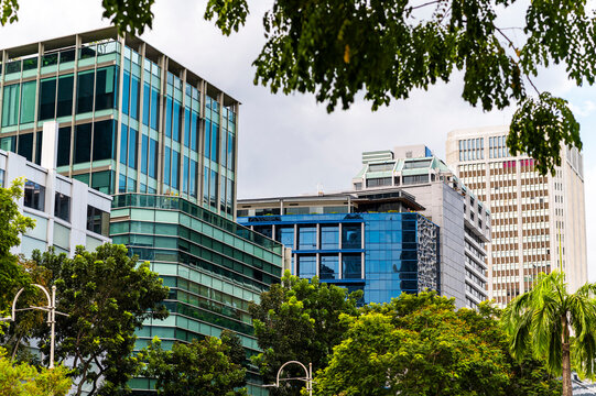 Geometric glass angles above tropical trees, Singapore, Asia
