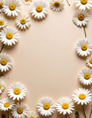 Fototapeta premium frame of daisy flowers