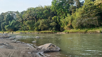 river and green tree