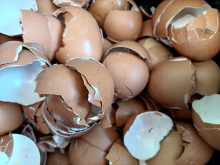 A pile of light brown and white broken eggshells. The shells vary in size and shape, highlighting the texture and slightly irregular forms of the discarded shells. Related to food waste, recycling