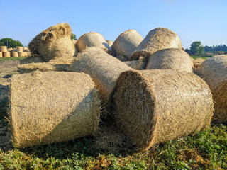 Huge golden hay bales lined up in rows under the bright blue sky, like towers of summer memories. Each bale is the embodiment of labor and the fertility of the land