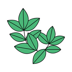 Green botanical leaves outline in corner composition