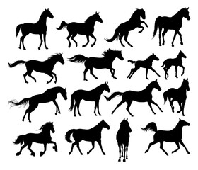 The set of horses silhouettes. 
