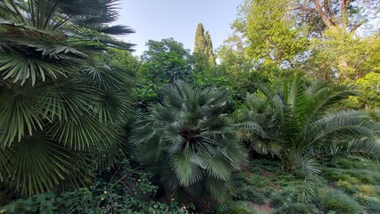 The National Garden in Athens 