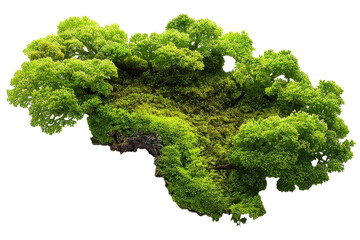 Forest canopy bright green isolated island lush ecosystem tropical foliage dense mossy natural on transparent background