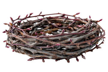 Obraz premium Intricate thorn crown detail easter religious symbol Jesus Christ crucifixion sacrifice pain on transparent background