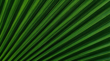 Obraz premium Radiant green palm leaf with vivid veins. AI generated