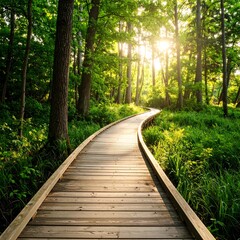 Obraz premium Pathway through lush forest (1)