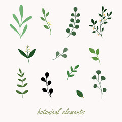 Leaves element vector set illustration. Botanical hand drawn design