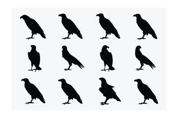 Eagle Silhouettes Collection: A collection of eagle silhouettes showcasing various poses, perfect for artistic or design applications. Emphasizing the grace and strength of the majestic bird.