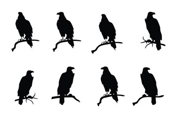 Eagle Silhouette on Branch: A majestic eagle, perched atop a branch, embodies strength and freedom against a timeless backdrop. This silhouette captures its iconic form in a striking visual.