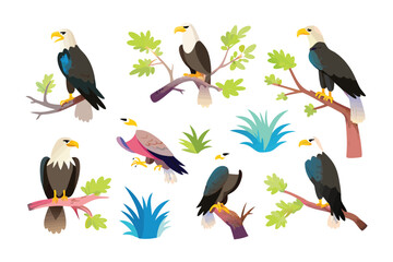 Majestic Eagles: An array of majestic eagles of different breeds perched on tree branches and in nature.