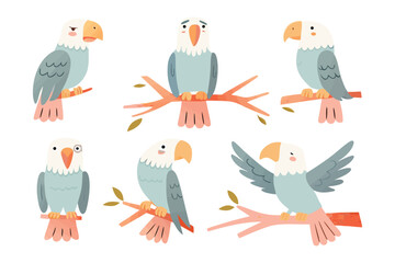 Colorful Parrot Collection: A captivating collection of six parrot illustrations, each showcasing unique poses and expressions on a branch. This image can be used in the education for kids.