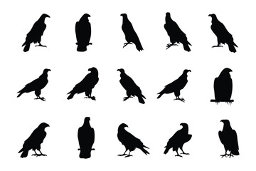 Majestic Silhouette of Eagle: A striking array of eagle silhouettes, capturing the strength and grace of these birds in a minimalist and elegant design.