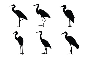 Heron Silhouettes: A striking collection of heron silhouettes showcases the elegant form of these wading birds in various poses, highlighting their unique profile against a clean background. 