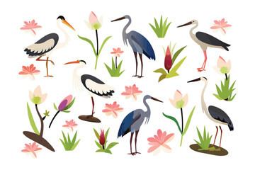 Floral Heron Arrangement: Capturing the serene elegance of nature, this illustration presents a vibrant assortment of herons amidst an array of delicate flowers and lush greenery.