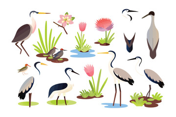 Exotic Birds and Botanical Arrangement: A curated collection of illustrations showcasing various bird species, artfully combined with vibrant botanical elements.