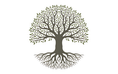 Naklejka premium Tree with roots isolated on white background