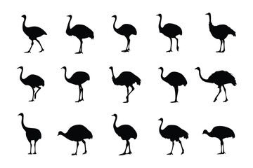 Ostrich Silhouette Collection: A captivating array of ostrich silhouettes in dynamic poses, perfect for adding a touch of African safari to any creative project.