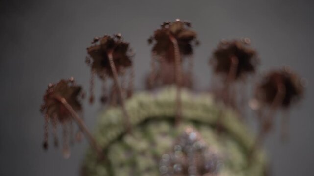 Traditional Sundanese Bridal Crown Called Siger