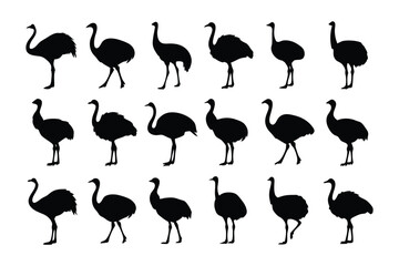 Fototapeta premium Ostrich Silhouette Pattern: An eye-catching array of ostrich silhouettes, each a striking emblem of grace, offers a versatile visual resource, perfect for design purposes.