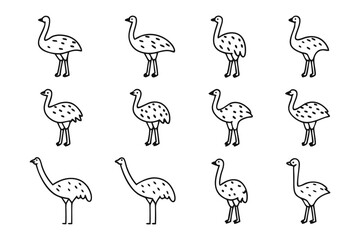 Emu pattern: A minimalist illustration, showcasing an organized pattern of emus against a simple backdrop, which highlight these unique flightless bird features.