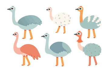 Cute Ostrich Illustrations: A collection of six adorable cartoon ostriches in various poses and colors, perfect for children's books, illustrations, or design projects.  