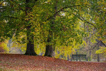Schönes Herbstwetter im Park, Laub auf Wegen