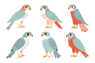 Stylized Hawk Set: This enchanting illustration presents a captivating assortment of stylized hawks, each embodying distinct features and patterns.