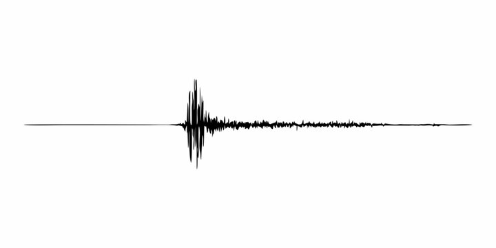 Seismogram of various seismic activities recording vector illustration, earthquake waves on paper fix, stereo audio wave diagram background. Earthquake seismic activity.
