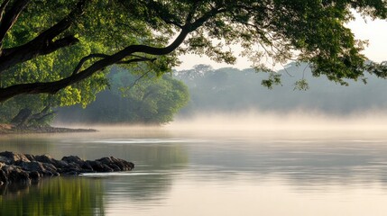 Serene Lakeside Vista: Misty Morning Reflections Under Verdant Canopy