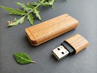 Wooden USB Flash Drive with Case Natural Wood Texture Gray Background Technology
