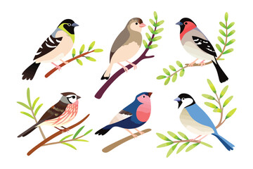 Diversity of Birds: A vibrant collection of various bird species perched gracefully on branches, illustrating the stunning array of avian life.