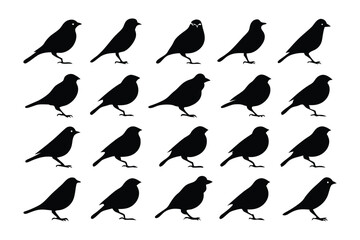 Silhouette birds collection: A graphic assembly of diverse bird silhouettes gracefully poised against a minimalist backdrop, each capturing the essence of avian elegance in a striking illustration.