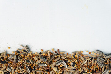 Birdseed border Seed mixture on white backdrop.