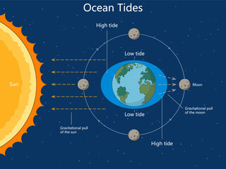 how gravitational forces from the moon and sun affect Earth's ocean tides, creating high and low tides diagram hand drawn schematic vector. Science educational illustration © Oleksandr Pokusai