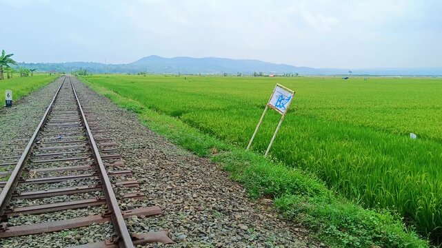 THE TOURIST RAIL RAIL ALONG RAWA PENING IS STILL OPERATING SOLIDLY