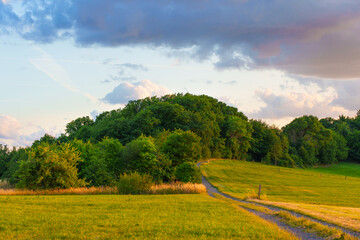 Obraz premium Serene Green Hills and Pathway at Sunset in Rossdorf Germany