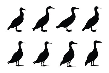 Obraz premium Cormorant Silhouette Set: A set of eight monochromatic silhouettes of a cormorant, a sleek, elegant waterbird, is presented in a clean, minimalist style. Perfect for design and illustrative purposes.