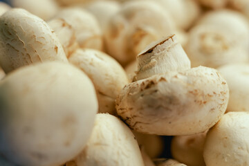 Fresh mushrooms, champignons at small local urban market. Organic produce on sale at outdoor farmer market. Selling fresh crops and veggies harvest. European urban setting. Close up.