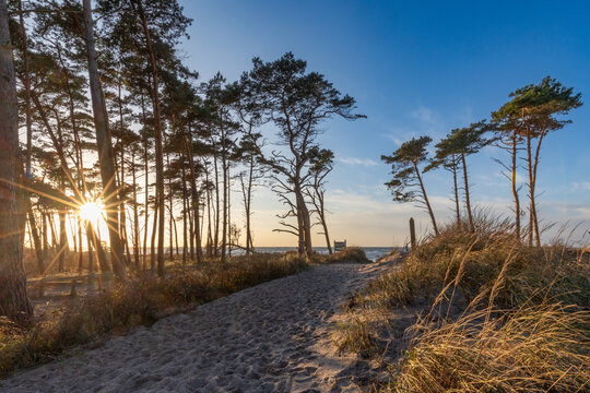 Sonnenuntergang im Herbst am Dar&szlig;er Weststrand.