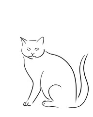 vector illustration of a cat