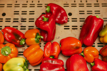 Fresh pepper at small local urban market. Organic produce on sale at outdoor farmer market. Selling fresh crops and veggies harvest. European urban setting. Close up. Part of the series