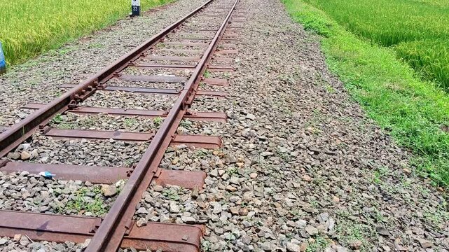 THE TOURIST RAIL RAIL ALONG RAWA PENING IS STILL OPERATING SOLIDLY