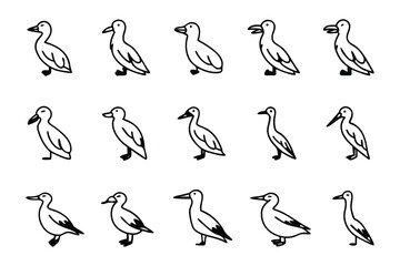 Duck Sketch Collection: A minimalist illustration showcases a variety of ducks, perfect for illustrating the beauty and simplicity of nature.