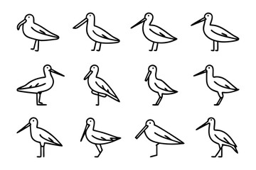 Avian Study: A stylized, black and white illustration of a bird captures its form, from its curved beak to its elegant profile. This design embodies simplicity and refined detail.