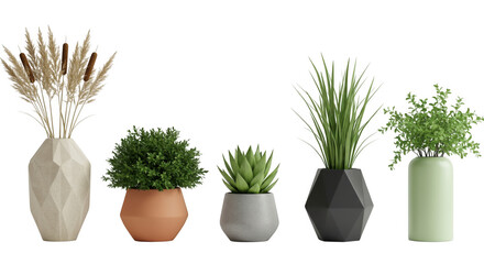 Various potted plants in vases and pots isolated on transparent background
