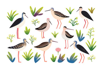 Exotic Birds in Bloom: A whimsical collection of captivating bird illustrations, each displaying unique charm amidst lush botanical elements.