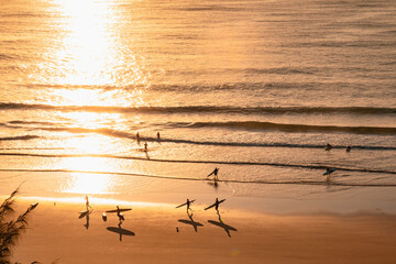 Silhouettes and shadows of early morning surfers at first light at Yamba Main Beach