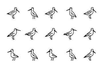Sandpipers Illustration: A delightful illustration showcases a series of sandpipers, capturing the essence of these elegant shorebirds in simple black line art.